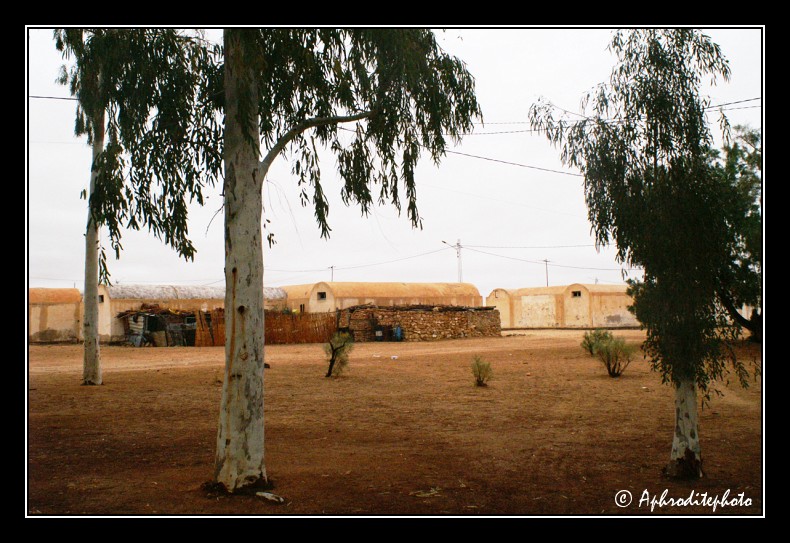 060 Village de Bordj El Khadra